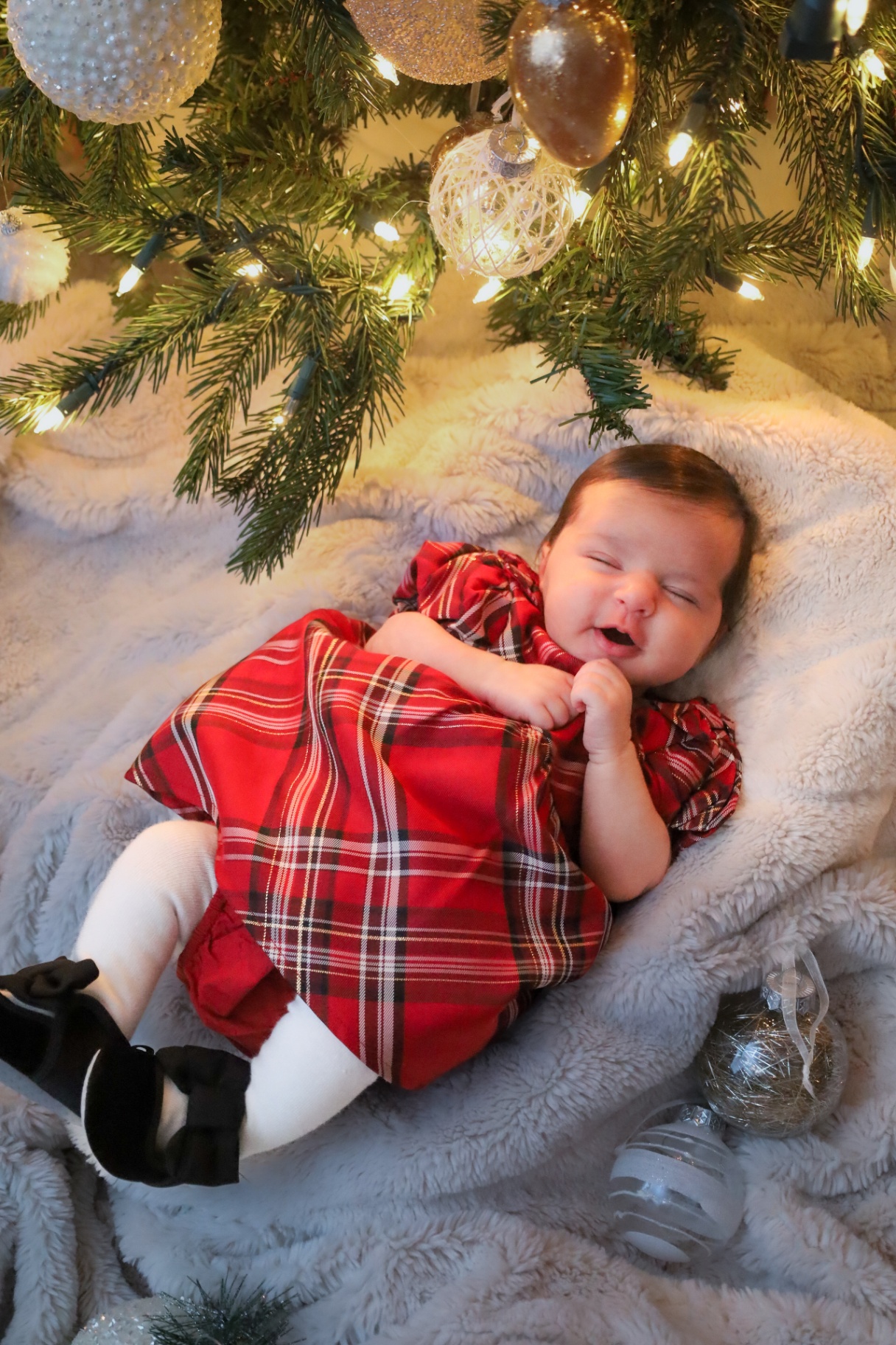 Newborn in a red plaid dress nestled beneath a Christmas tree